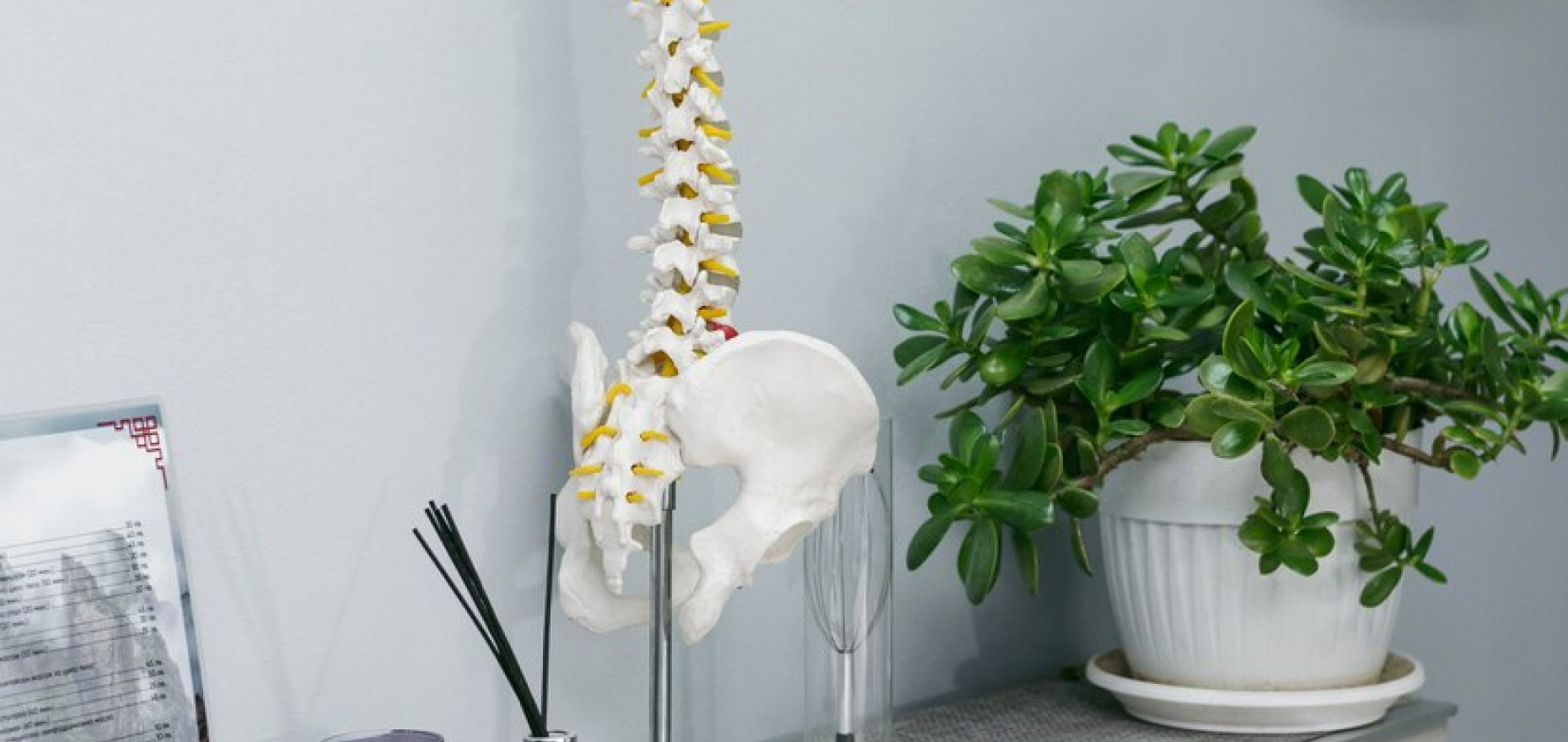 Saksham Ayurveda - Finding Relief and Balance - Exploring Ayurveda for Spine and Joint Health